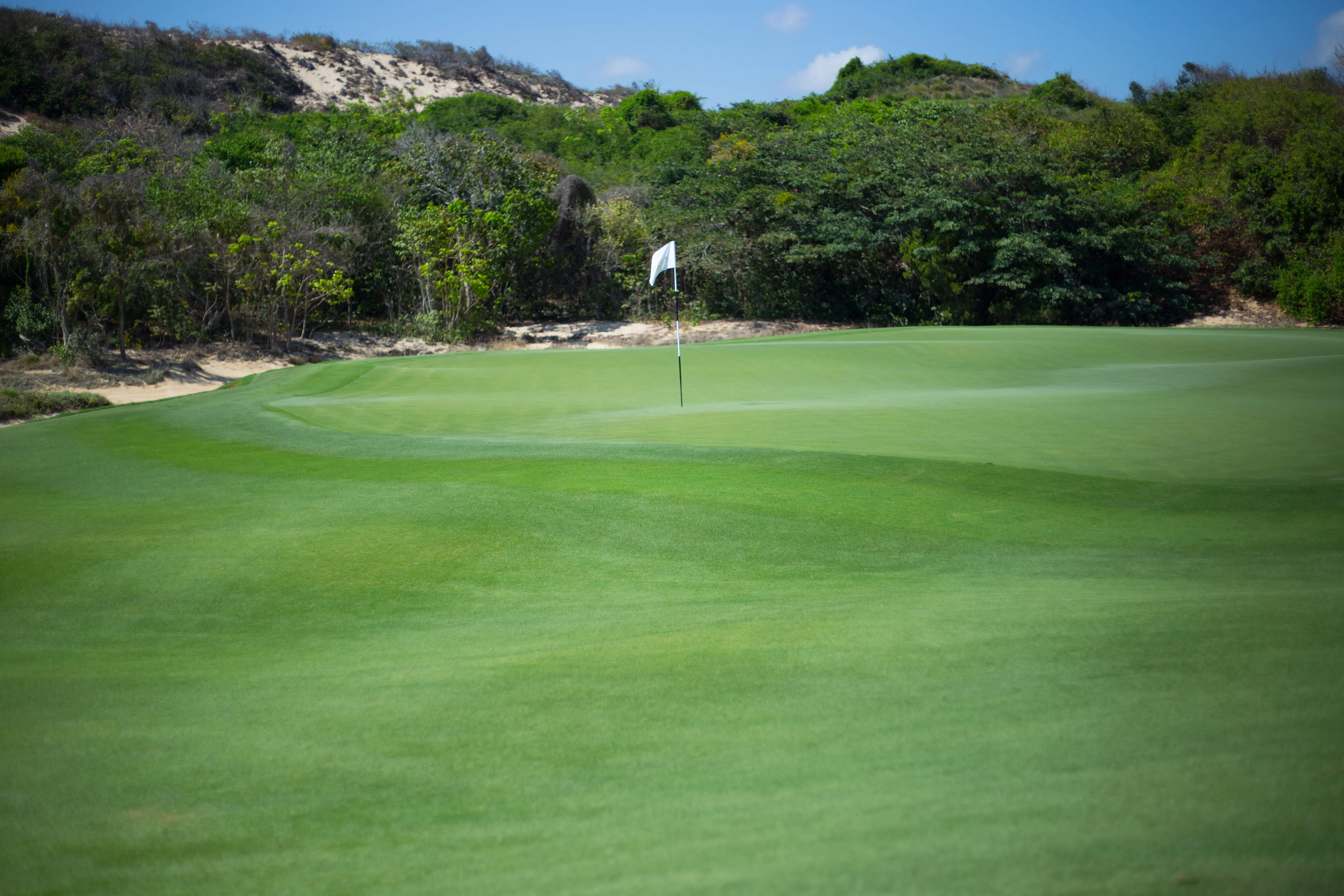 Picturesque view of a golf course