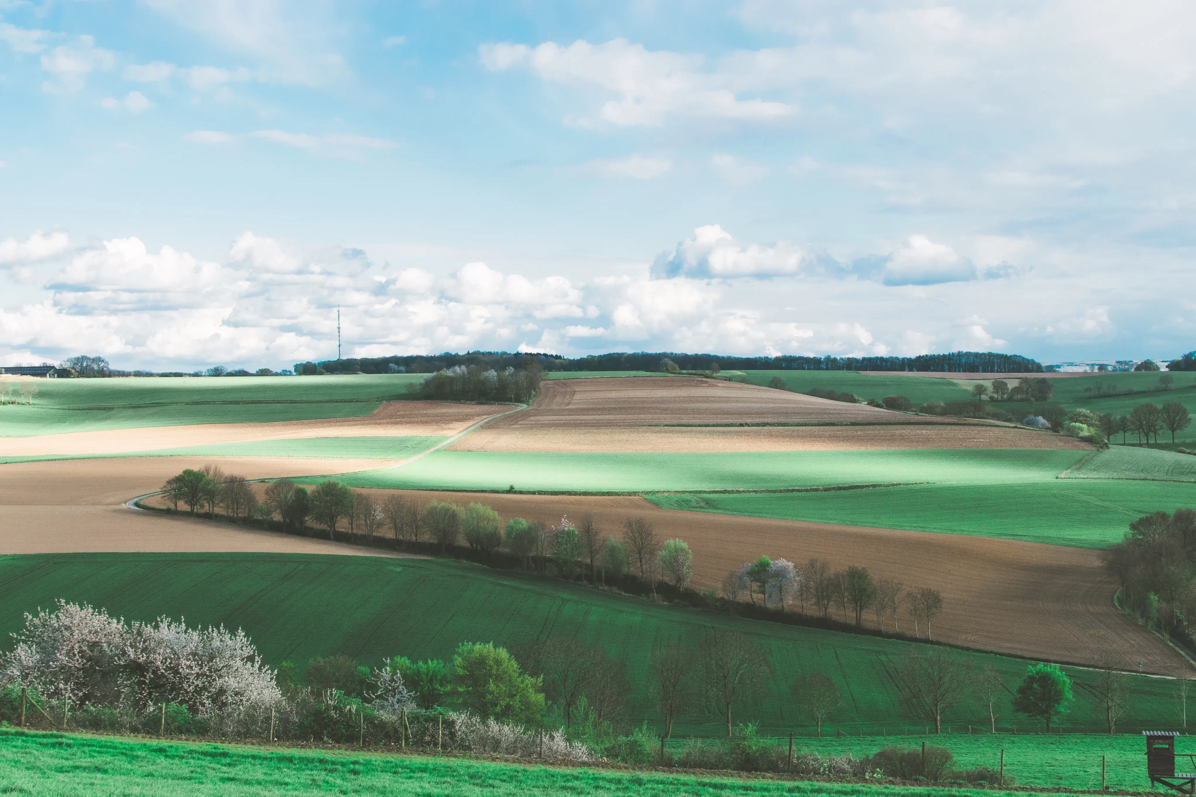 Picturesque view of a field against a cloudy sky