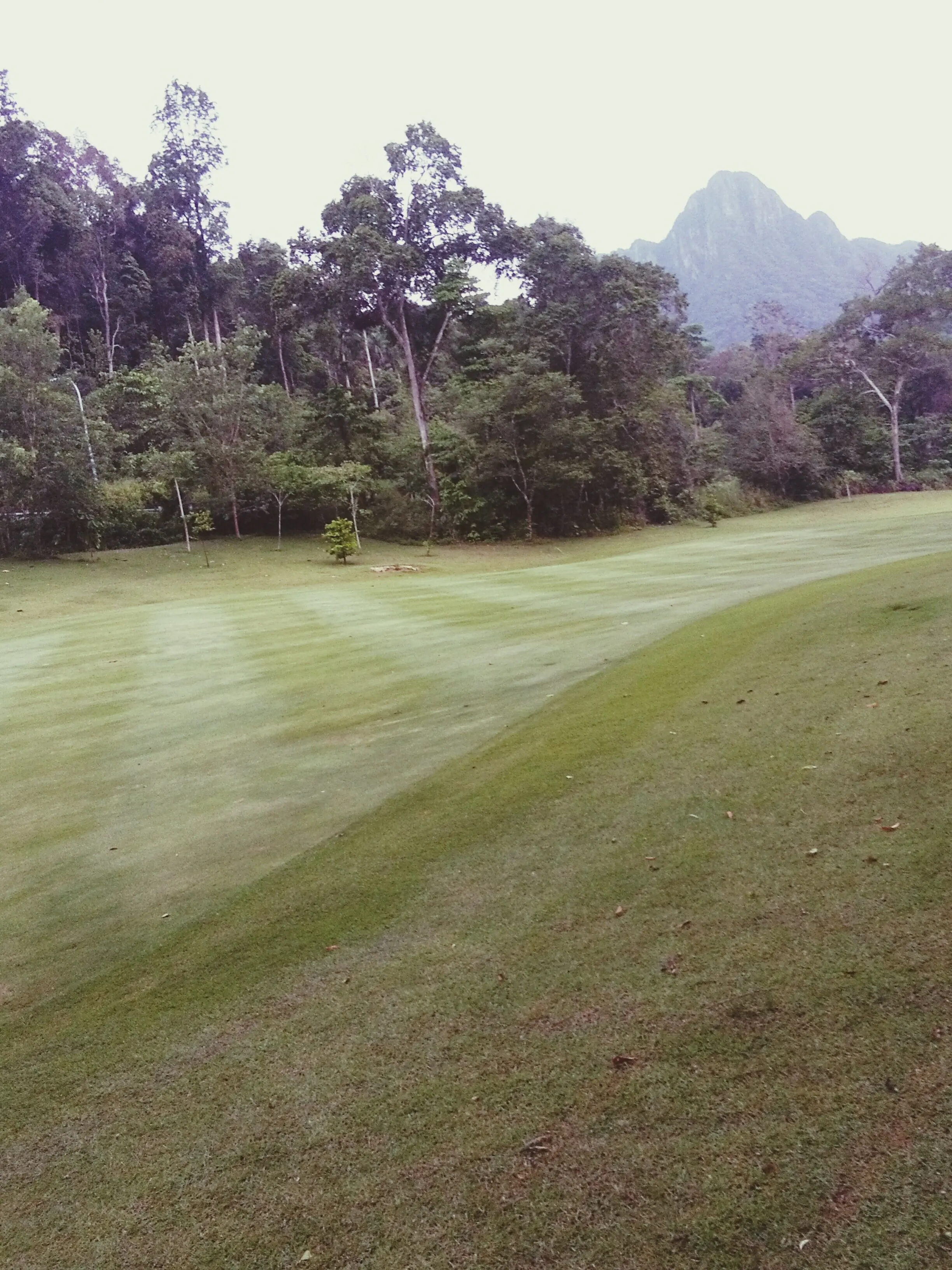 Picturesque view of a golf course under a clear sky